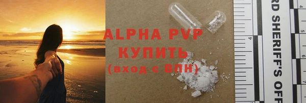 PSILOCYBIN Богданович