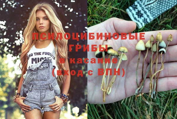 прущий лед Богородицк