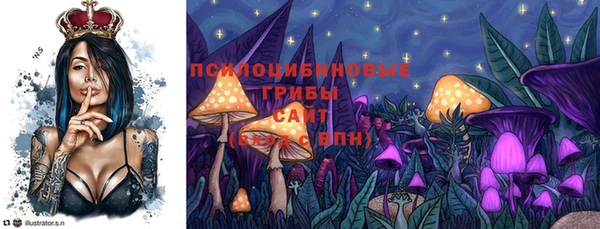 крисы Верхнеуральск