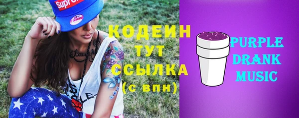 PSILOCYBIN Богданович