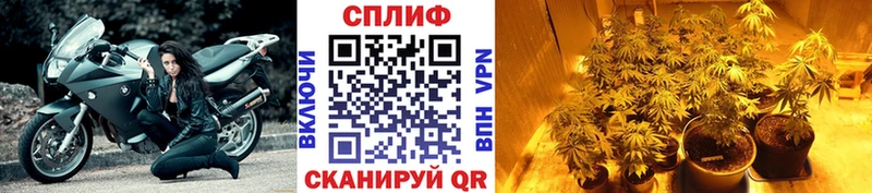 мега рабочий сайт Калтан Каннабис гибрид